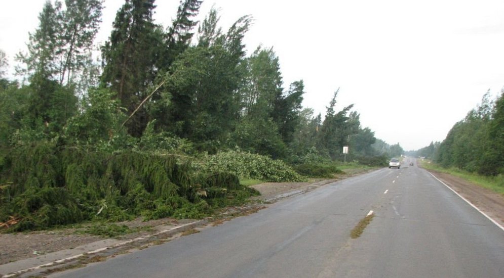 Трасса петербург тюмень